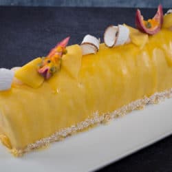 Bûche glacée fruits exotiques